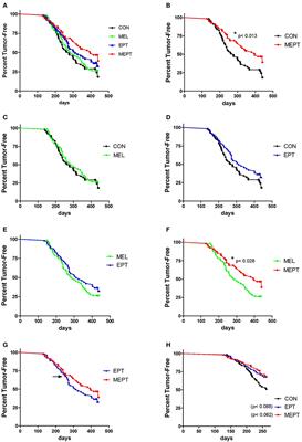 Co-administering Melatonin With an Estradiol-Progesterone Menopausal Hormone Therapy Represses Mammary Cancer Development in a Mouse Model of HER2-Positive Breast Cancer